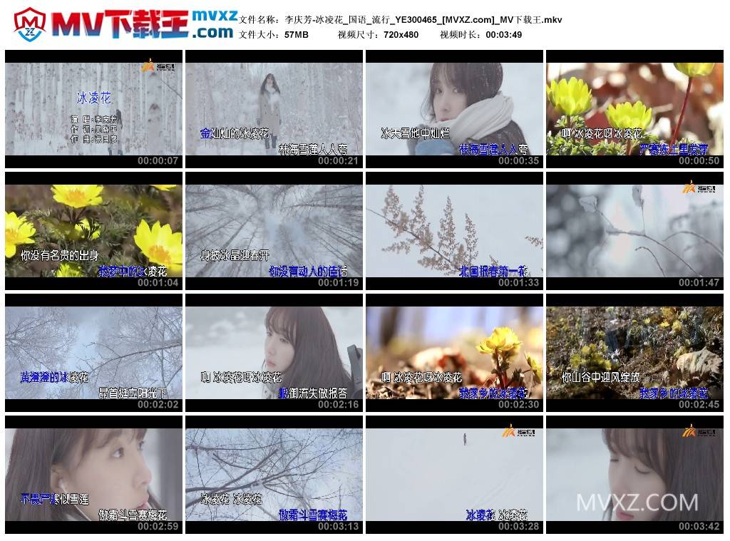 李庆芳-冰凌花_国语_流行_YE300465